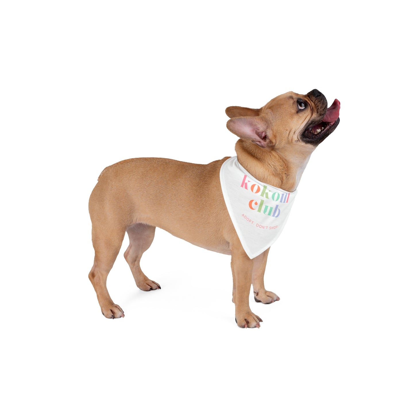 Kokoni Club Pet Bandana